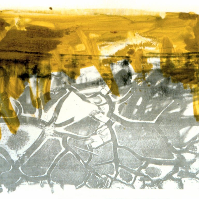 Juillet III - 1999, monotype, photocopie transférée sur papier 56 x 76 cm
