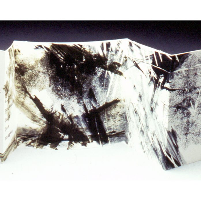 Racines -1990, lithographie et photocopie transférée, 30 x 90 cm