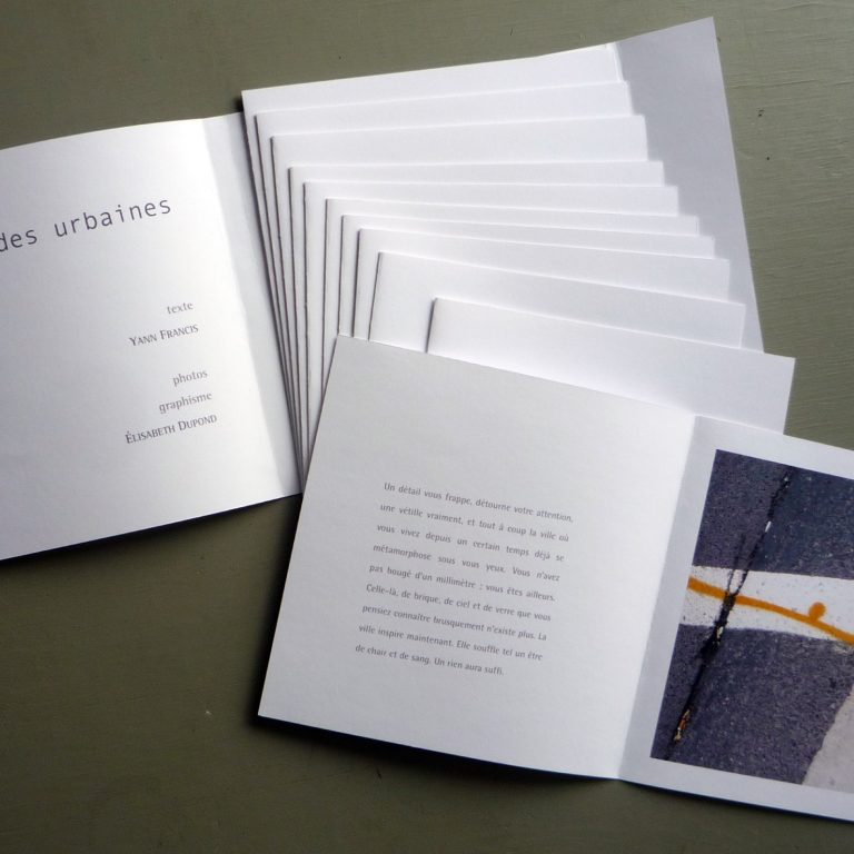 Légendes urbaines - 2011, photos numériques, texte de Yann Francis, 11 pages, 20,5 x 41 cm
