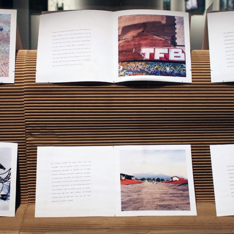 Légendes urbaines - 2011, photos numériques, texte de Yann Francis, 11 pages, 20,5 x 41 cm