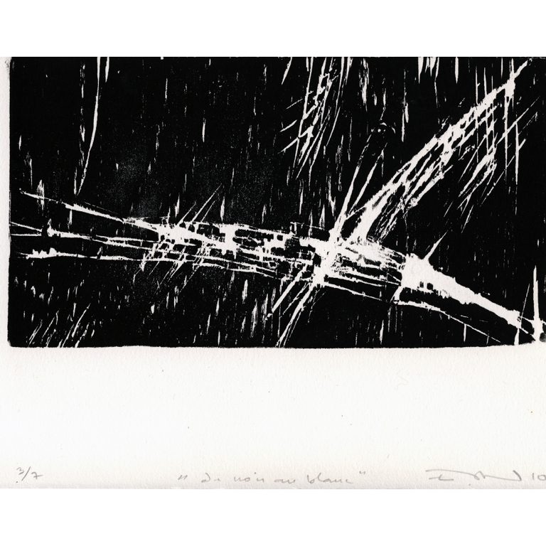 du noir au blanc - 2010, bois gravé, 19 x 28 cm